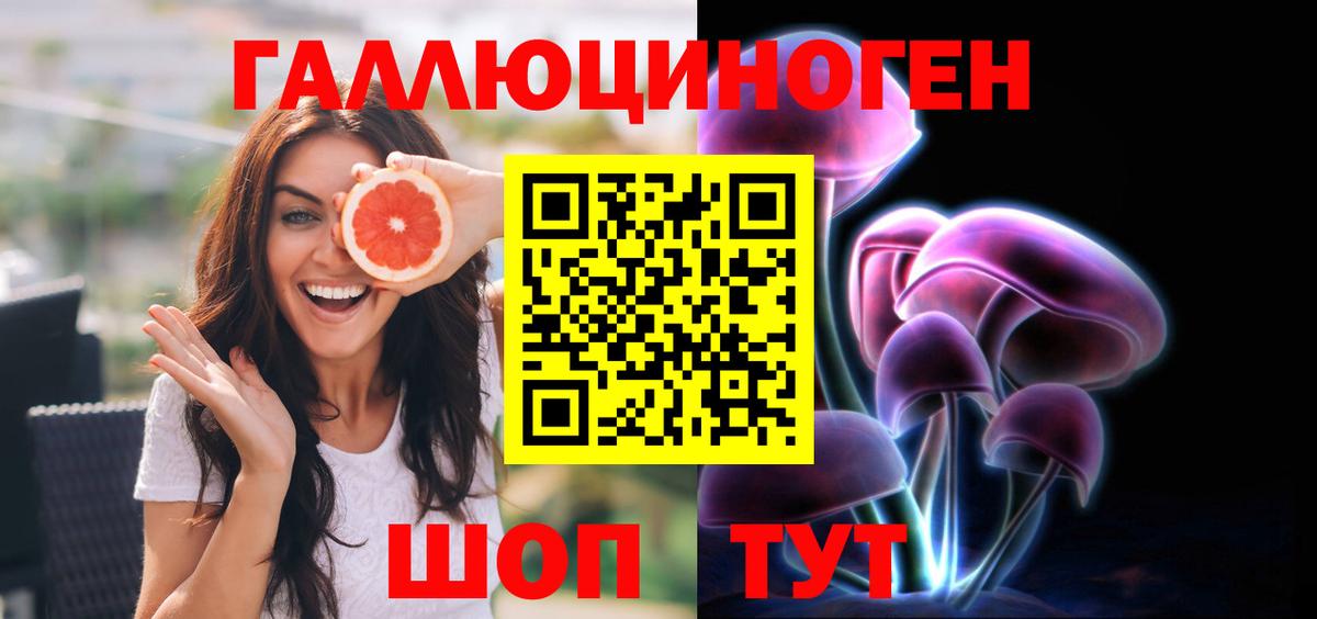 Камышлов  Галлюциногенные грибы MAGIC MUSHROOMS  Псилоцибиновые грибы MAGIC MUSHROOMS  Вход с VPN 