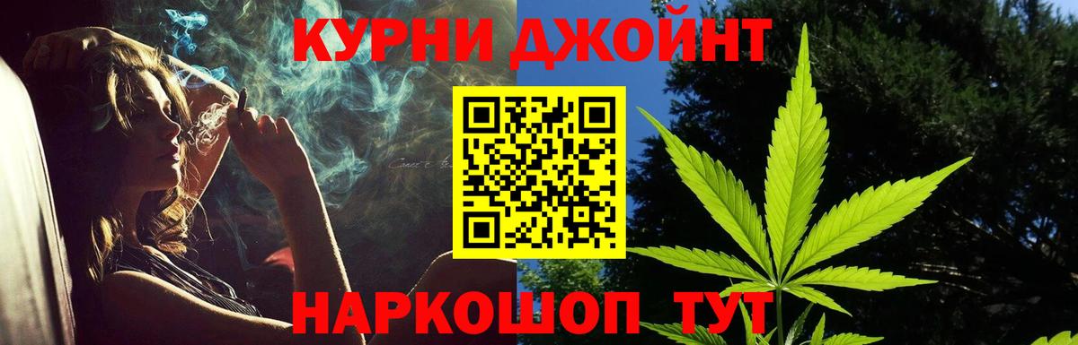Конопля OG Kush Камышлов